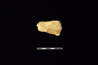 陶片藏品圖，第2張